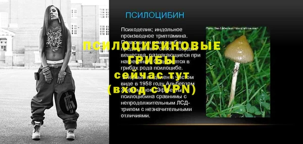 сатива Алексин